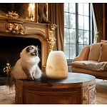 Настольная лампа в форме трапеции из натурального камня Soft Glow of Stone варинант исполнения - 5 | Loft Concept в Брянске