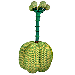 Статуэтка Зеленый тропический фрукт Pandora Tropical Light Green 69 варинант исполнения - 3 | Loft Concept в Брянске