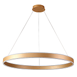 Люстра подвесная светодионая кольцевая золотого цвета Ring Horizontal варинант исполнения - 1 | Loft Concept в Брянске