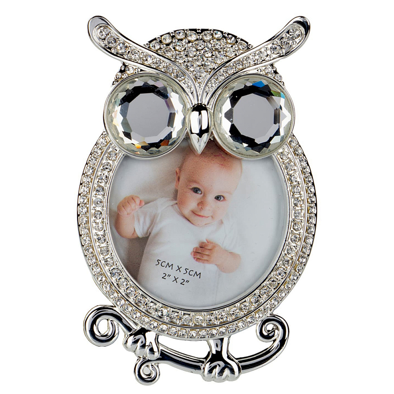 Фоторамка детская Childhood Corner  Owl Серебряный в Брянске | Loft Concept 