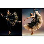 Книга New York City Ballet: Choreography and Couture варинант исполнения - 1 | Loft Concept в Брянске