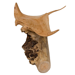 Статуэтка из дерева скат Animals of the World варинант исполнения - 2 | Loft Concept в Брянске