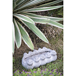 Кашпо Canaries варинант исполнения - 3 | Loft Concept в Брянске