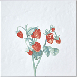 Плитка с узором Земляника варинант исполнения - 2 | Loft Concept в Брянске