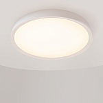 Потолочный светильник Incognito 2700-4000К 46Вт варинант исполнения - 4 | Loft Concept в Брянске