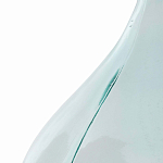 Ваза-бутыль из стекла TRANSPARENT FORMS 56 варинант исполнения - 4 | Loft Concept в Брянске