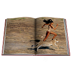 Лимитированная подарочная большая книга CARTIER Panthère варинант исполнения - 12 | Loft Concept в Брянске