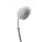 Статуэтка тропический фрукт Pandora Tropical Fruit Tall White варинант исполнения - 1 | Loft Concept в Брянске