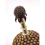 Статуэтка тропический фрукт Pandora Tropical Fruit Brown варинант исполнения - 1 | Loft Concept в Брянске