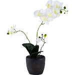 Декоративный искусственное растение Angel Orchid варинант исполнения - 1 | Loft Concept в Брянске