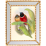 Постер с изображением птиц и цветов в зеркальной раме Blooming Birds Poster варинант исполнения - 6 | Loft Concept в Брянске