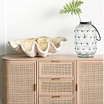 Блюдо декоративное в виде ракушки Seashell варинант исполнения - 1 | Loft Concept в Брянске