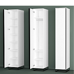 Шкаф-пенал белый с зеркальной дверцей Strict Lines варинант исполнения - 5 | Loft Concept в Брянске
