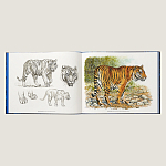 Лимитированная подарочная книга HERMES Fierce and Fragile book, English version варинант исполнения - 2 | Loft Concept в Брянске