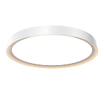 Потолочный светильник Incognito 2700-4000К 46Вт варинант исполнения - 1 | Loft Concept в Брянске