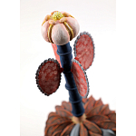 Статуэтка тропический фрукт Pandora Tropical Fruit Orange Brown Pink Flower варинант исполнения - 1 | Loft Concept в Брянске