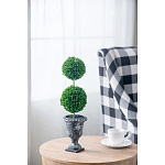 Декоративный искусственное растение Double boxwood варинант исполнения - 5 | Loft Concept в Брянске