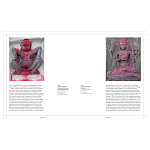 Книга Tantra: Enlightenment to Revolution варинант исполнения - 4 | Loft Concept в Брянске