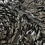 Панно «Чёрный лебедь» варинант исполнения - 3 | Loft Concept в Брянске