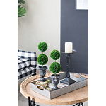 Декоративный искусственное растение Double boxwood варинант исполнения - 8 | Loft Concept в Брянске