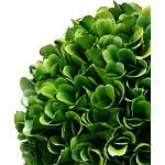 Декоративный искусственное растение Single boxwood варинант исполнения - 2 | Loft Concept в Брянске