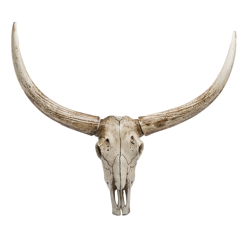 Череп быка Bull Skull Бежево-серый Череп быка Bull Skull Бежево-серый в Брянске | Loft Concept
