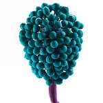 Статуэтка для интерьера фрукт Pandora Tropical Fruit 22 варинант исполнения - 2 | Loft Concept в Брянске