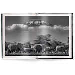 Книга Beusker. Look into my Eyes варинант исполнения - 2 | Loft Concept в Брянске