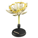 Статуэтка Tilia варинант исполнения - 3 | Loft Concept в Брянске