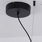 Люстра подвесная светодиодная черный металл Ring Horizontal варинант исполнения - 13 | Loft Concept в Брянске