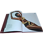 Коллекционная книга Art in Vogue варинант исполнения - 1 | Loft Concept в Брянске