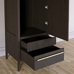 Узкий Шкаф Primo с 2 выдвижными ящиками Темный орех варинант исполнения - 5 | Loft Concept в Брянске