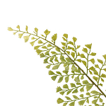 Декоративный искусственное растение Dried flower варинант исполнения - 3 | Loft Concept в Брянске