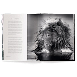 Книга Beusker. Look into my Eyes варинант исполнения - 3 | Loft Concept в Брянске