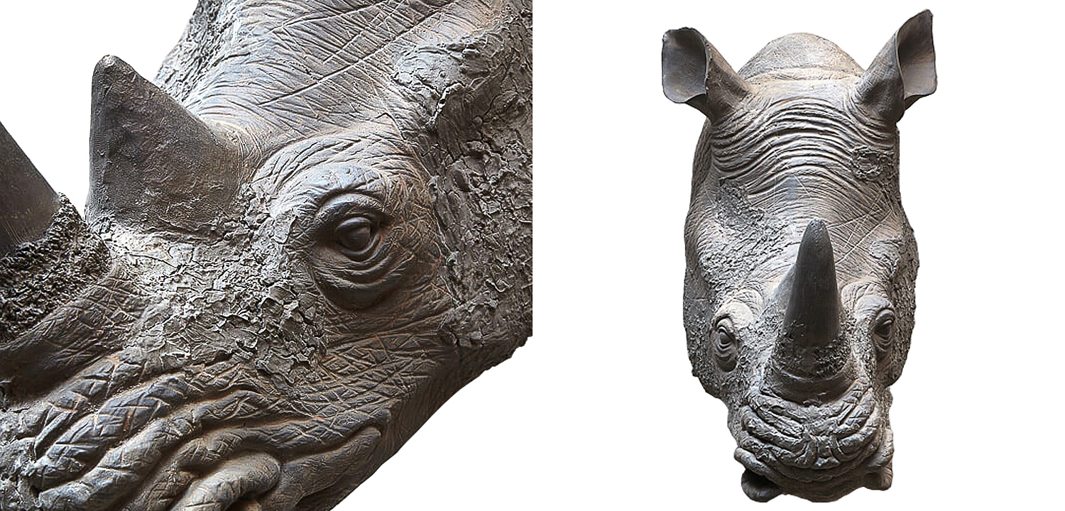 Аксессуар на стену Rhinoceros Аксессуар на стену Rhinoceros - Loft-Concept в Брянске