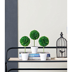 Декоративный искусственное растение Boxwood One варинант исполнения - 9 | Loft Concept в Брянске