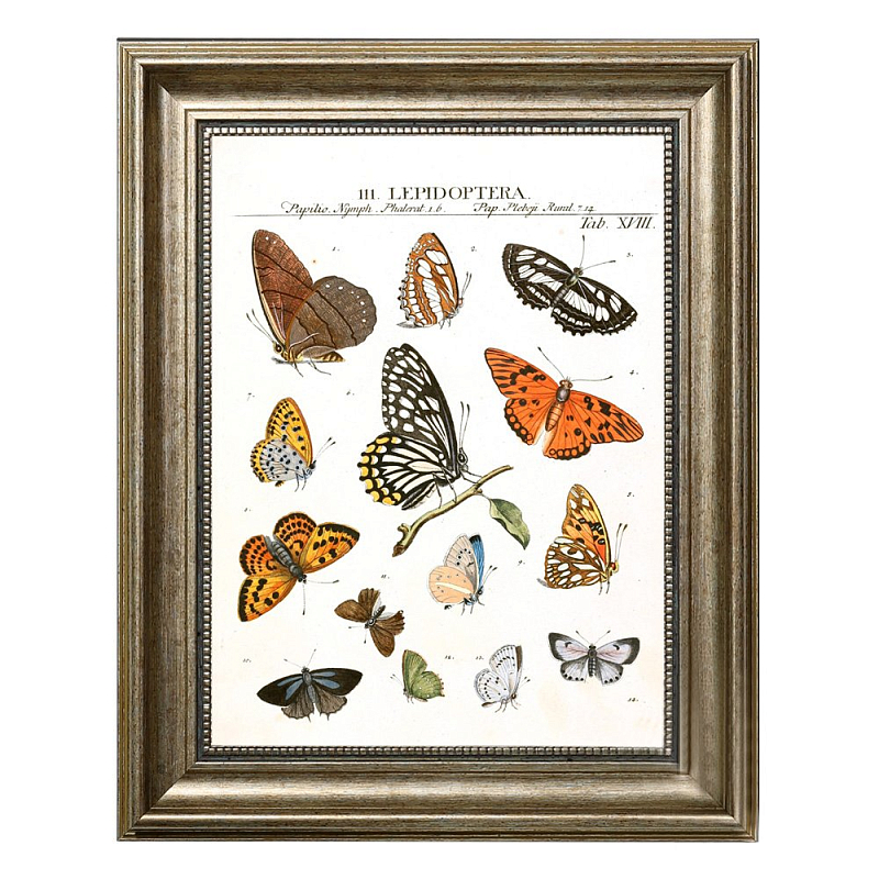 Постер Little Butterflies Постер Little Butterflies в Брянске | Loft Concept