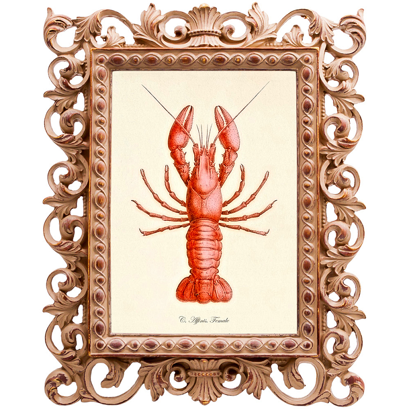Постер Red Lobster Бежевый Красный Постер Red Lobster Бежевый Красный в Брянске | Loft Concept