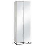 Двухдверный шкаф с зеркальными дверцами Strict Lines варинант исполнения - 5 | Loft Concept в Брянске