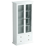 Шкаф-витрина Droletina варинант исполнения - 1 | Loft Concept в Брянске