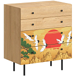 Комод с принтом на ящиках Elise Chest of Drawers варинант исполнения - 4 | Loft Concept в Брянске