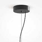 Подвесной светильник Rare grapes варинант исполнения - 4 | Loft Concept в Брянске