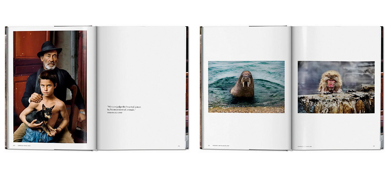 Steve McCurry. Animals - Loft-Concept в Брянске