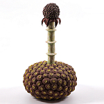 Статуэтка тропический фрукт Pandora Tropical Fruit Brown варинант исполнения - 2 | Loft Concept в Брянске