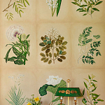 Обои ручная роспись Botanical Studies Linnaeus colourway варинант исполнения - 3 | Loft Concept в Брянске