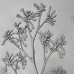 Панно Лесной цветок варинант исполнения - 4 | Loft Concept в Брянске