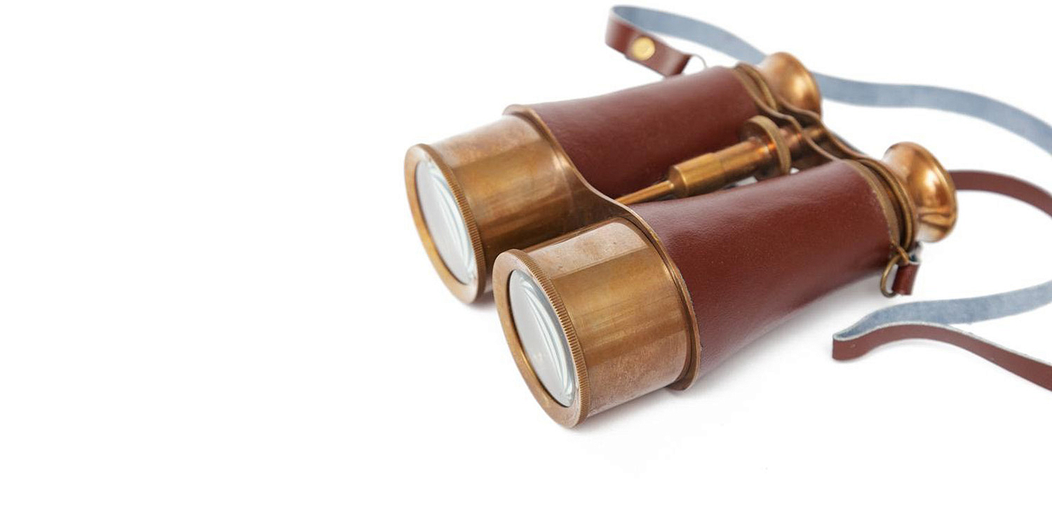 Винтажный бинокль в подарочной коробке Victorian Era Brass Binoculars - Loft-Concept в Брянске