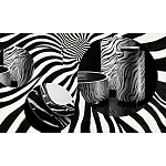 Редкое коллекционное издание Casa Cavalli Home: Celebrating the Roberto Cavalli Lifestyle Зебра варинант исполнения - 4 | Loft Concept в Брянске