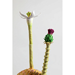 Статуэтка тропический фрукт Pandora Tropical Fruit Orange Two Flowers варинант исполнения - 2 | Loft Concept в Брянске