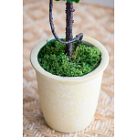 Декоративный искусственное растение Single boxwood варинант исполнения - 6 | Loft Concept в Брянске